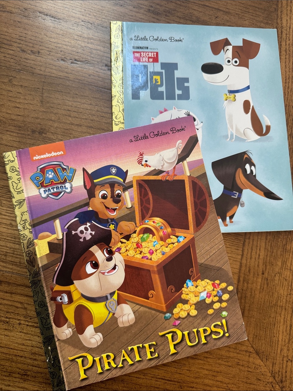 PAW Patrol Pirate Pups Book and The Secret Life of Pets - 2 books